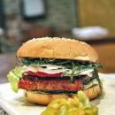 사계절장어 이미지