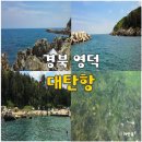 영덕목욕탕 | 경북 영덕 스노클링 명소 추천 대탄항 대구 근교 여행