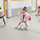 세종 효 태권도 이미지