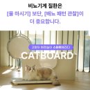 펫비서 이미지