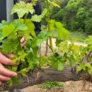 주경농장 이미지