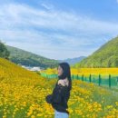 율하천R 이미지