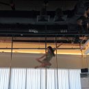 663 | 일산 폴댄스 폴린이 국화의 663회차 수업 후기 초급 이지 서퍼