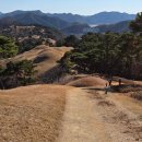 고령 미숭산, 대가야 왕릉길 - 300대 명산(333)