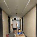 Cornering(코너링) | [도그독 D.O.G] 듀얼 폴딩카트 내돈내산 인증 후기 : 웨건&amp;캠핑 필수템 추천 _ 손수레