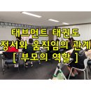 대구대표 한우리 태권도 | [ 각산동 태권도 ] 움직임과 정서의 관계! 부모의 역할 [ 태브먼트 태권도 ]
