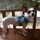 캠프M817 이미지