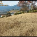 남산리 입석 네이버블로그