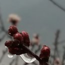오시게 이미지