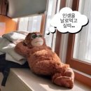 폴리;커피엔쿠키 | [합정] 호주 감성 낭낭~ 합정 베이커리 커피 폴리 후기