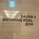 (주)월드크리닝 | 아기와 잠실 롯데호텔월드 클럽라운지 | 객실• 키즈라운지•수영장•석촌호수벚꽃개화 (26.3 마지막 날...