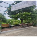 광산구 남쪽마을돌짜장 이색맛경험후기