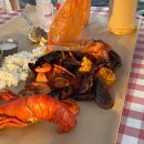 (주)젤리오아시스 이미지