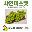 포도랑농원
