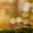 건강헬스클럽 이미지