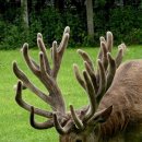 재이한의원 이미지