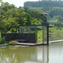 자동산책길 이미지