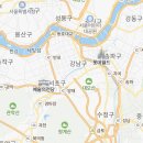 스타일독앤캣 강아지고양이 경기광주점 이미지