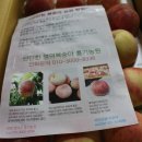 영덕싱싱농원 네이버블로그