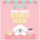 그린빌12단지.호수마을 | 파주말티즈분양 후기 헤이리마을에서 만난 하얀 천사, ‘밀키’ 이야기