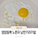 운산리축사 | 낭만기러기 기러기알 초란, 흰자만 먹던 아이가 노른자를 다 먹었어요