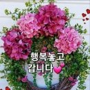 ☆º─+뇌출혈로 쓰러진 경우 엄지발가락 만지면 기적을 일으킨다..!! 이미지