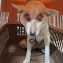 군산시-00816 이미지