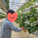 유봉농장 이미지
