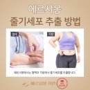 에르샤몽의원 이미지