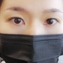 데이즐뷰티