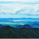 롯데마트 육교아래 이미지