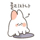 프리티파우 이미지