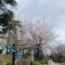 식구 - 여수시 강남해안로 11 | 식구