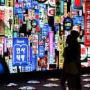 미디어피쉬 이미지