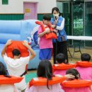 한국세륜 이미지