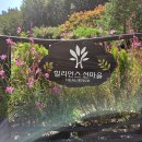 세유랑 | [강원도 홍천] 4성급 힐링 리조트 &#39;힐리언스 선마을&#39; 후기