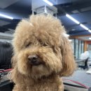 몽숲 이미지