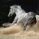 향내약국 이미지