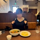 [5월 여행]봄 삿포로 구석구석 핥아묵기(5/5~5/8)🌸👅