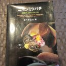 1999년 초판 발행,2011년 2판 발간 일본꿀벌 이미지