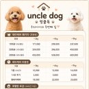 엉클독 애견유치원 네이버블로그