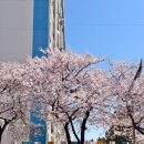 삼익비치B상가시장 이미지