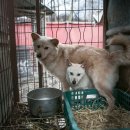 김씨농장 이미지