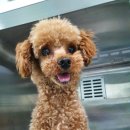 퇴계농공로 이미지