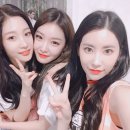 얌케이스 Daum카페