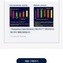 샤부티크