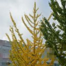 한탑공인중개사사무소 이미지