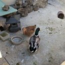 키즈위즈유치원 이미지