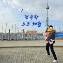 전곡항 마리나 클럽하우스 - 아일랜드 요트 체험 후기