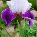 화원농장3 이미지